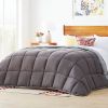 Twin Size All Seasons Plush Light/Dark Grey Reversible Polyester Down Alternative Comforter