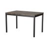 Simple Style Dining Table 1pc Brown Faux Marble Table Top Black Metal Finish Frame Transitional Dining Furniture